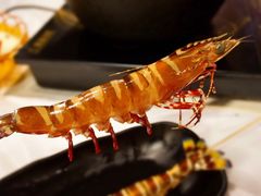 花竹虾-鲜入围煮花胶鸡海鲜火锅