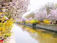 -海棠花溪(元大都城垣遗址公园)
