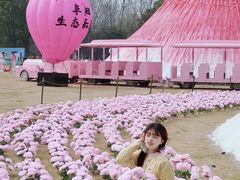 -祥源·阜阳生态乐园