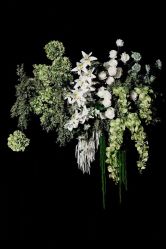 -明典婚礼策划·婚车租赁·婚纱摄影