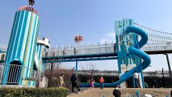 点击看大图 -季高兔窝窝亲子园(上海薰衣草公园店)