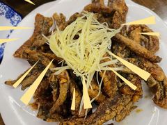 -协和菜馆(凤凰街店)