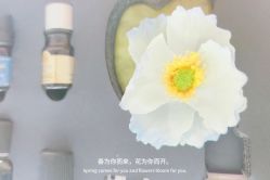 -CAMENAE嘉媚乐