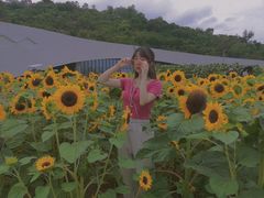 -野狸岛