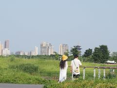 -洋湖国家湿地公园