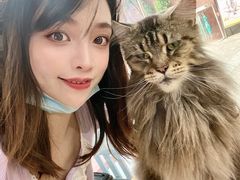 -more than meow吴止猫主题餐厅(承德 中船汇店)