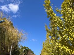 -JUST HOT佳禾欧包(大学城店)