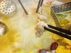 -野妹火锅(龙岗店)