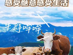 -百里天路