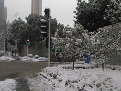 -武汉理工大学（南湖新校区）-图书馆