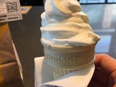 -麦当劳(金平路站店)