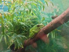 -上海大自然野生昆虫馆