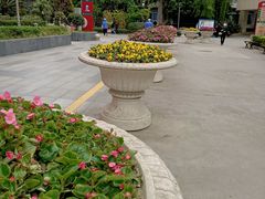 -成都市第二人民医院(庆云院区)