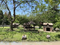 -上海野生动物园