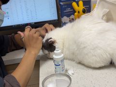 -瑞鹏宠物医院·普外科·影像科·皮肤科(城市山谷分院)