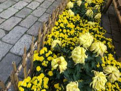 -秦园惠山豆腐花(惠山古镇店)