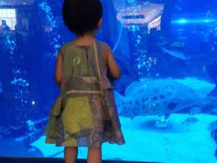 -成都浩海立方海洋公园