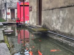 -前童古镇