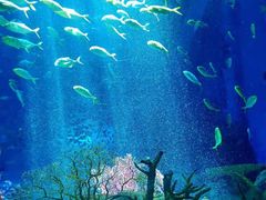 -上海海昌海洋公园