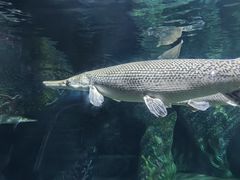 -南昌动物园