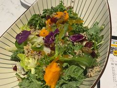 时蔬沙拉-宝月楼·台湾菜馆(天河城店)