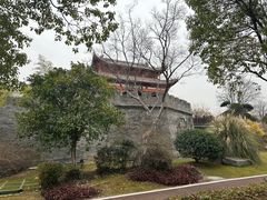 -武汉园博园(武汉自然博物馆)