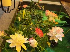 -蜀九鼎·四川火锅·毛肚是招牌(惠安店)