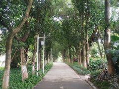 -紫马岭公园