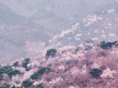 -国家植物园