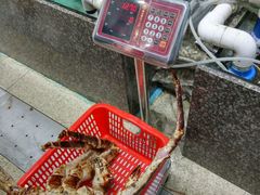 -蚝专家(北滘店)