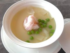 -Hi City·城市之巅