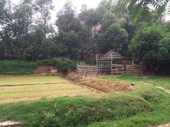 iphone_upload_pic-横沥牛庄(总店)