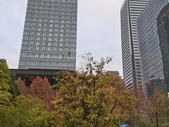 -重庆市江北嘴中央商务区中央公园