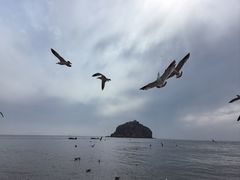 -棒棰岛宾馆景区