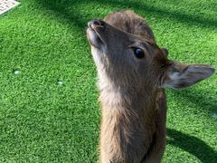-拾溪餐厅(杭州千禧度假酒店)