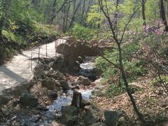 -天女山森林公园