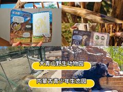 -大青山野生动物园