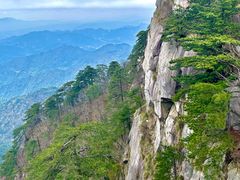 -妙道山国家森林公园