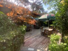-麦积山温泉