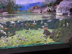 -常州海昌海洋探索馆