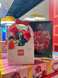 -乐高授权专卖店(朝阳大悦城店)