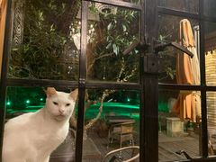 -马勒别墅·中餐厅