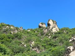 -大岭沟猕猴桃谷风景区