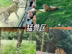 -秦岭欢乐世界