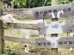 -前小桔亲子创意农场·草莓采摘·露营烧烤