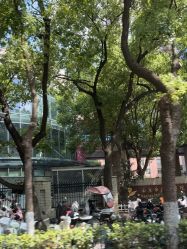 -南京市儿童医院(广州路院区)