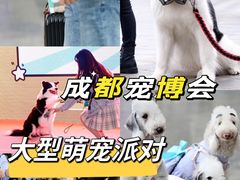 -成都世纪城新国际会展中心