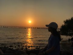 -宝安西湾红树林湿地公园