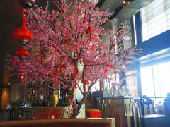 -金轩中餐厅 Jin Xuan(浦东丽思卡尔顿酒店)