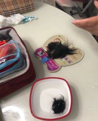 -禧婴婴儿理胎发·胎毛笔定制纪念品(新街口店)